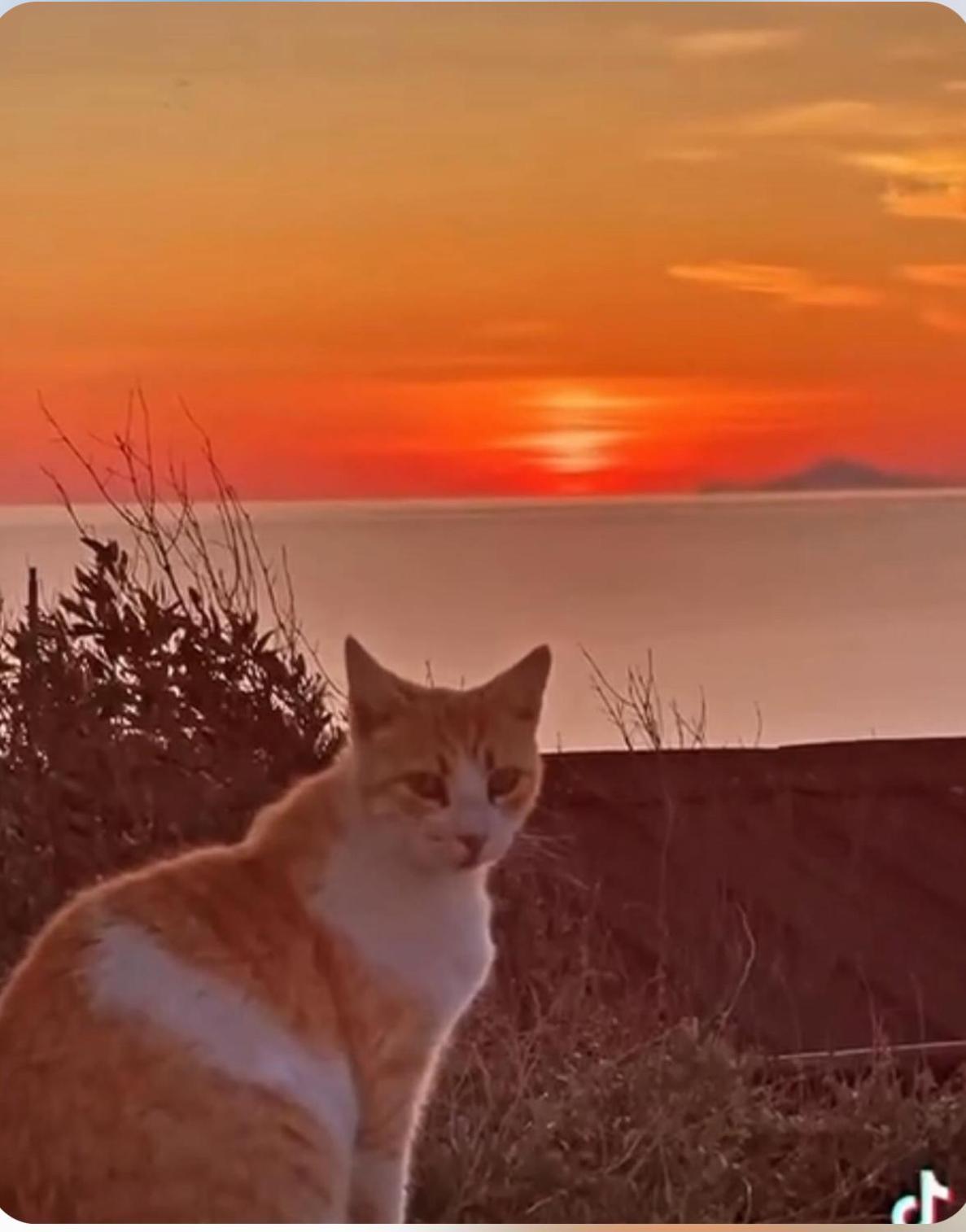 Вилла Oia Sunset House Pothitou Экстерьер фото
